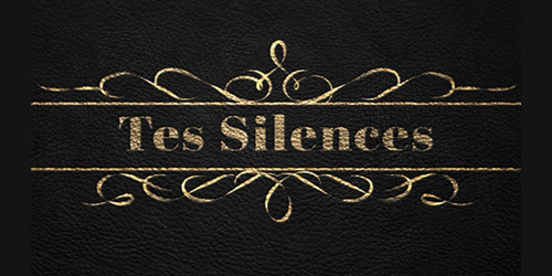 cover chanson Tes silences